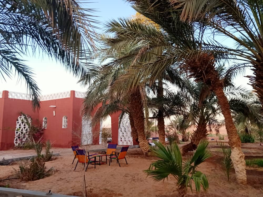 tin-habib-3
